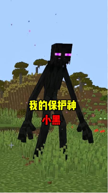 我的世界#我的世界:小黑被困,你救了小黑以后!-全民小视频