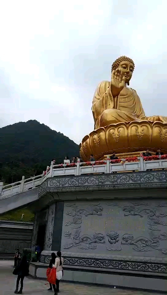 莲花山大佛!金色的大佛