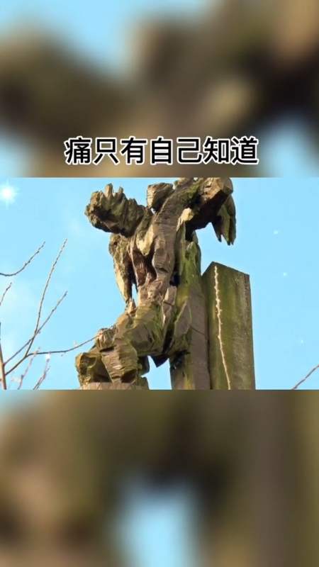 情感故事#所有的夜晚都是自己熬过来的,痛只有自己知道