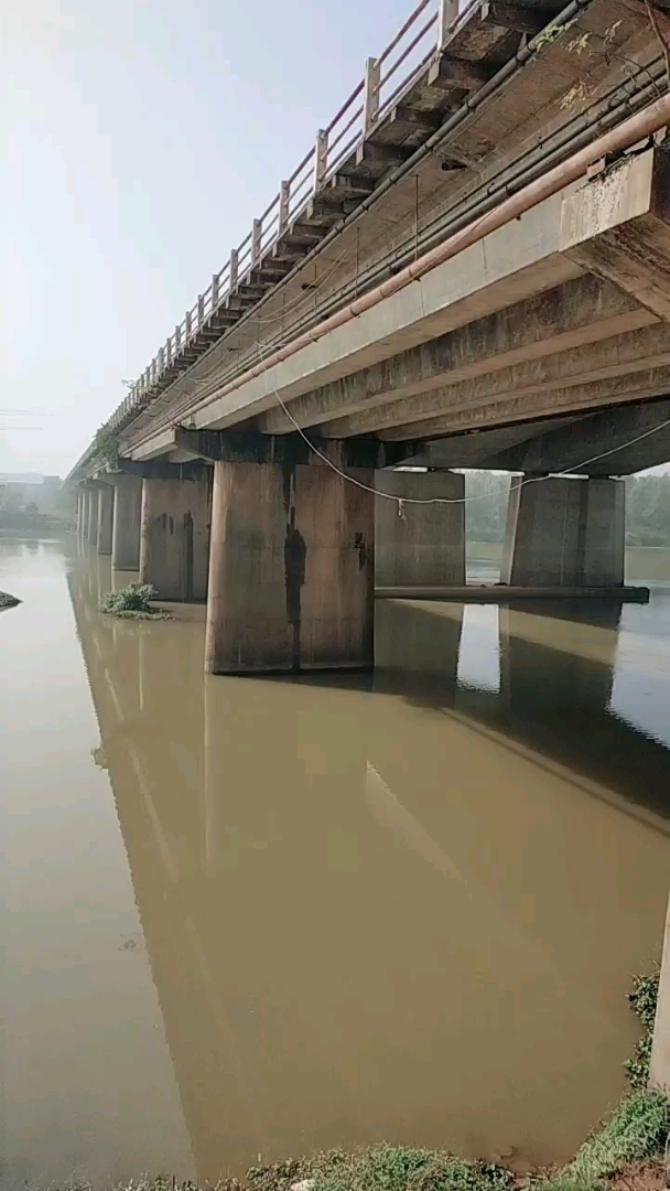 黄金大桥旧桥有没有20年历史?