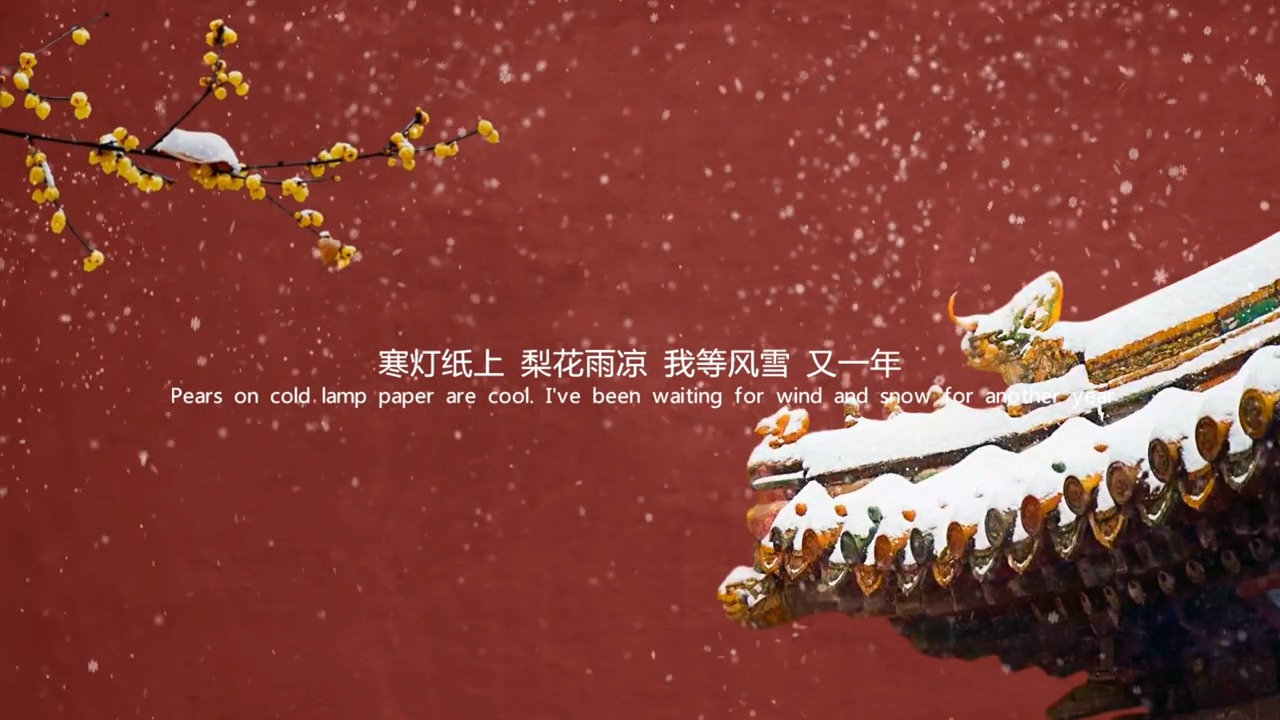 文案#何时杖尔看南雪,我与梅花两白头