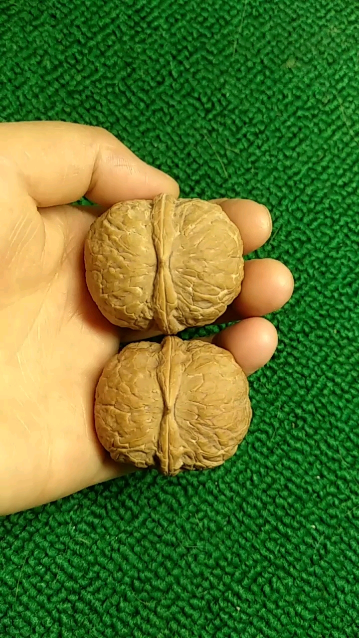 云南纯野生铁核桃两棱元宝,喜欢的朋友,记得关注我,关注全民小视频!