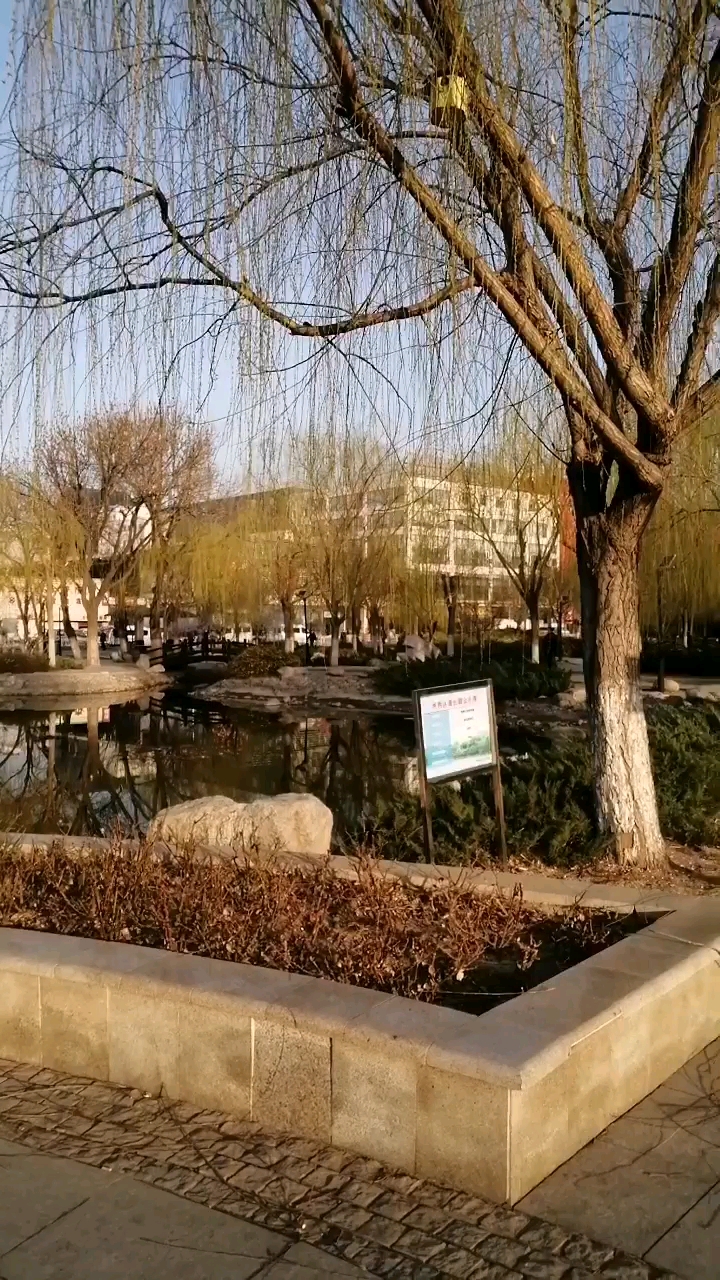 天津西柳公园美景