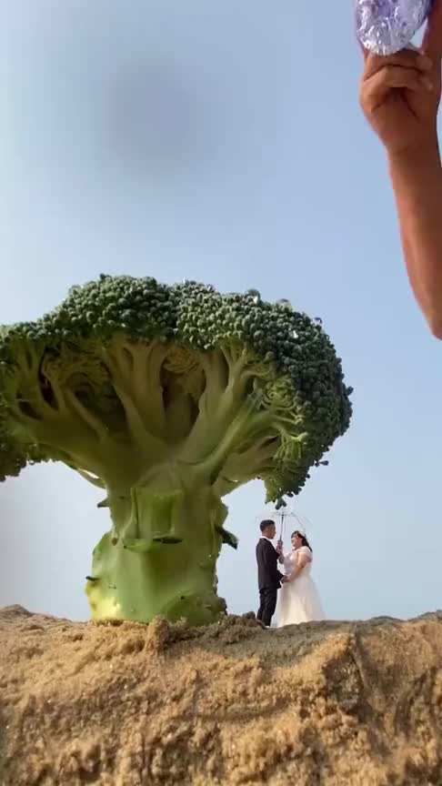 西兰花还能拍出这么高端的照片,5毛钱特效,你觉得拍出来的效果怎么样