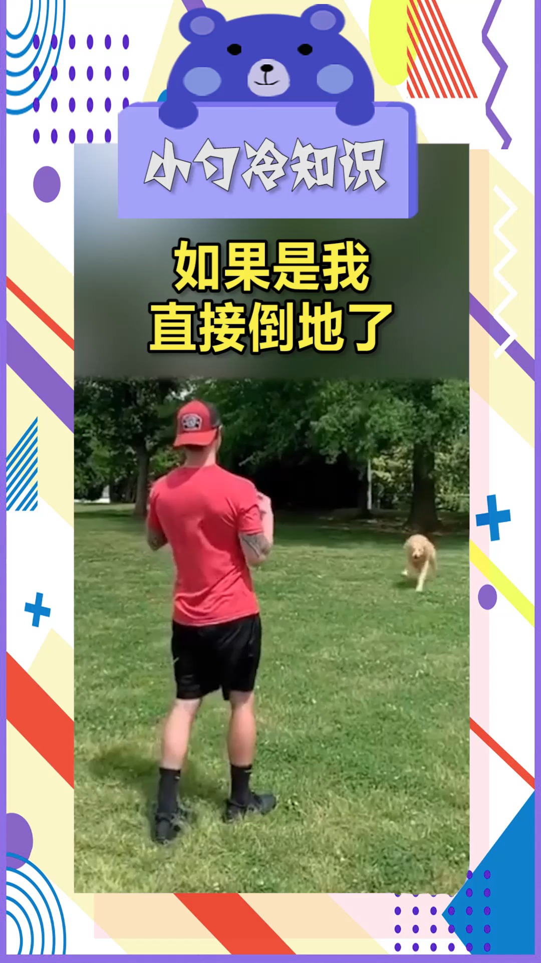 奇趣#狗狗向主人扑过来的时候,如果是我,直接倒地了!