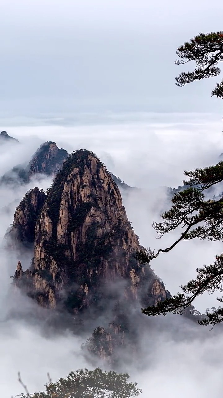 美景#一品黄山,天高云淡,有云海的黄山宛如仙境一般#旅行