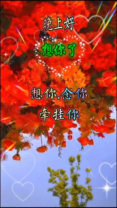 晚上好天冷了注意保暖照顾好自己