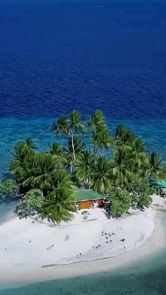 龟仙岛,有敢住的吗?