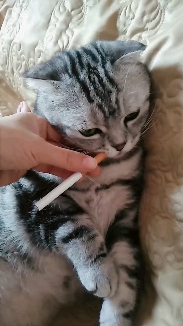 抽一支烟解心宽