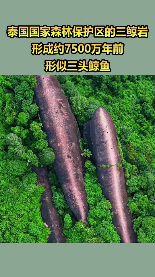 泰国国家森林保护区的"三鲸岩,形成约7500万年前,形似三头鲸鱼