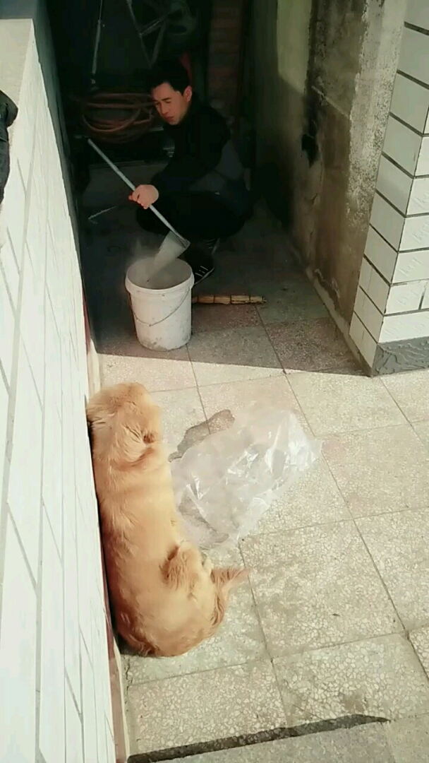 你是看他一个人干活会偷懒吗,在边上看着