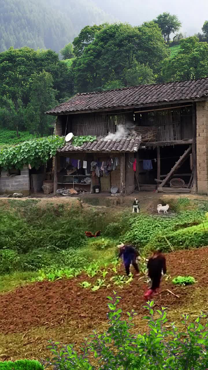 这是我家乡农村山沟沟里奶奶说不要拍了大山里没有人认识你也不会有人