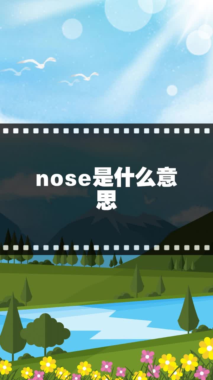 nose是什么意思