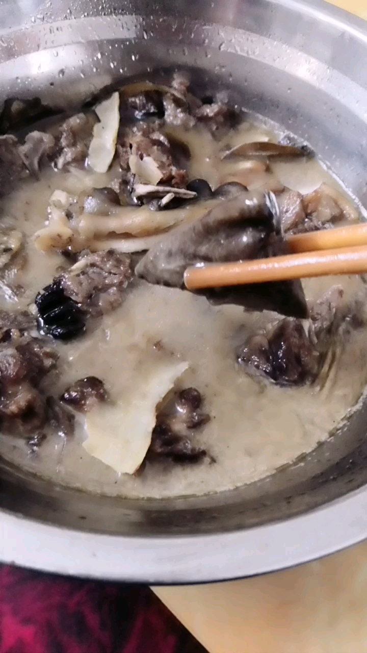 你们说的狼心狗肺,在这里了