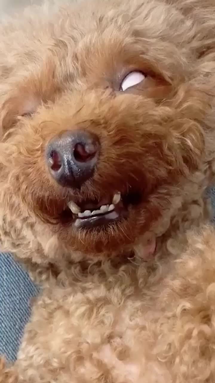 单眼翻白眼你们会吗