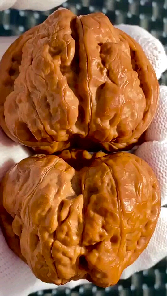 文玩核桃#金蟾蛤蟆王