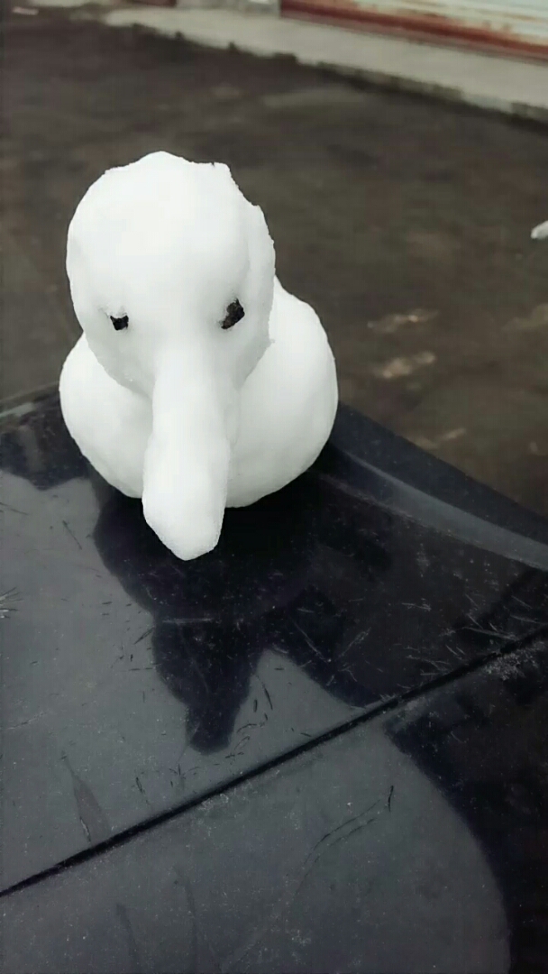 雪做的鸭子