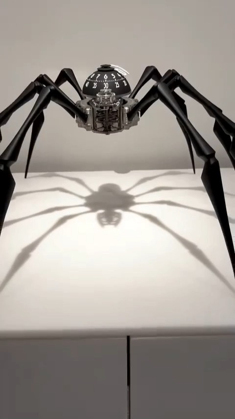 时钟蜘蛛照片图片