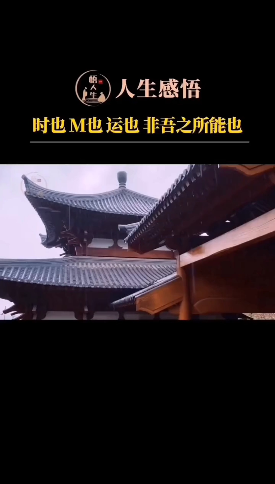 时也命也运也非吾之所能也人生国学智慧曾仕强教授