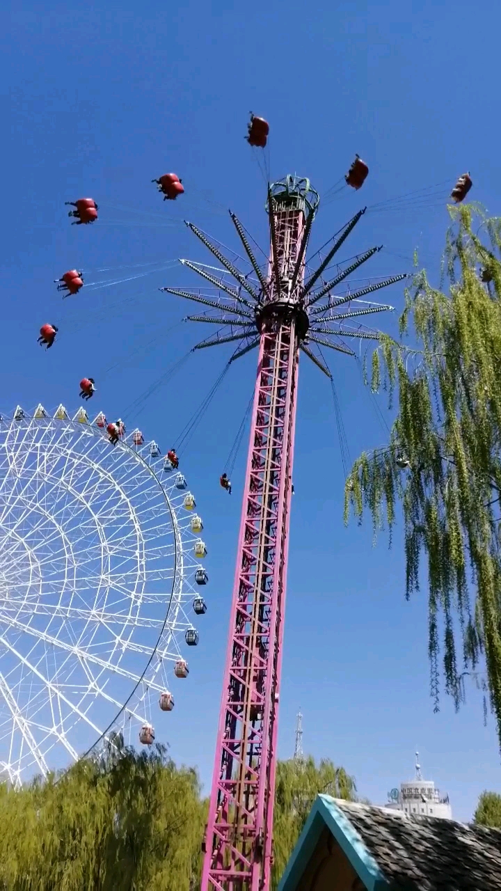 高空中飞人,似天上飞仙