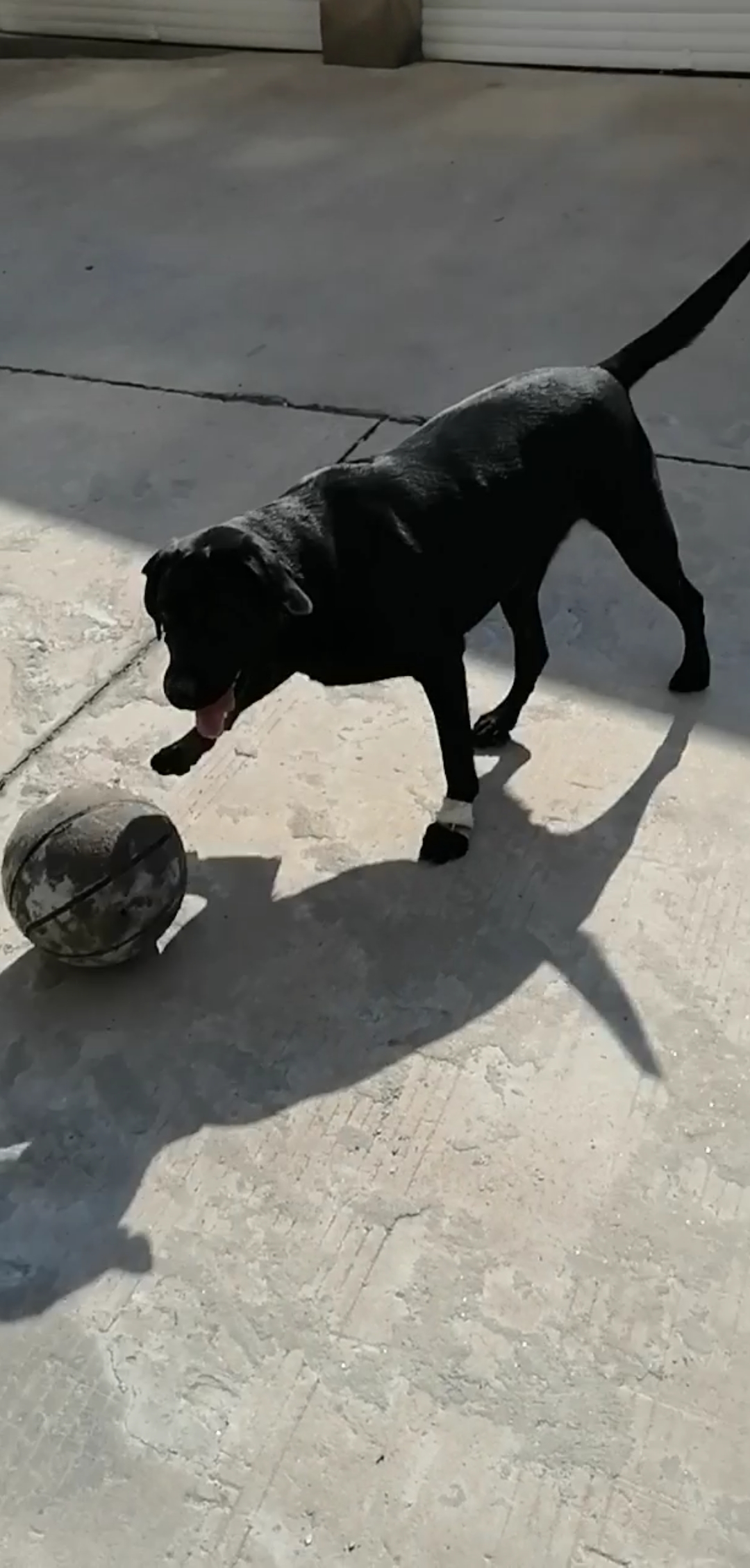 篮球队最牛的足球丫头