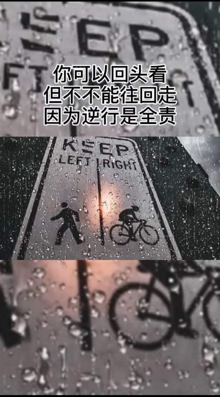 你可以回头看,但不不能往回走,因为逆行是全责-全民小视频