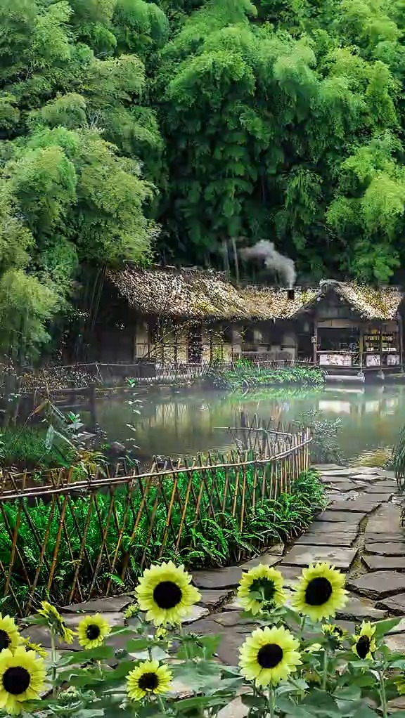 幽谷竹林藏人家,依山傍水远繁华,无为不做俗尘事,轻煮岁月慢煮茶,大山