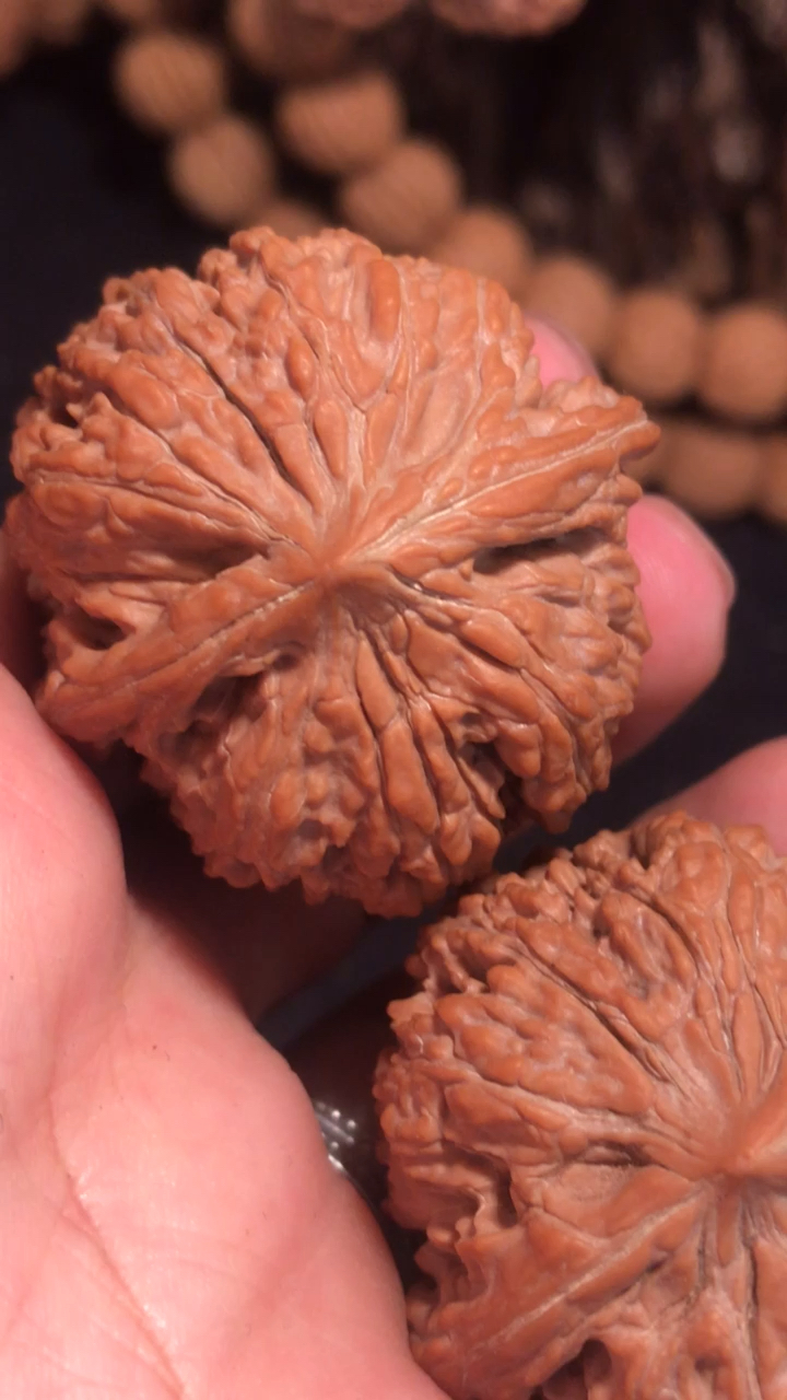 文玩核桃#137狮子头