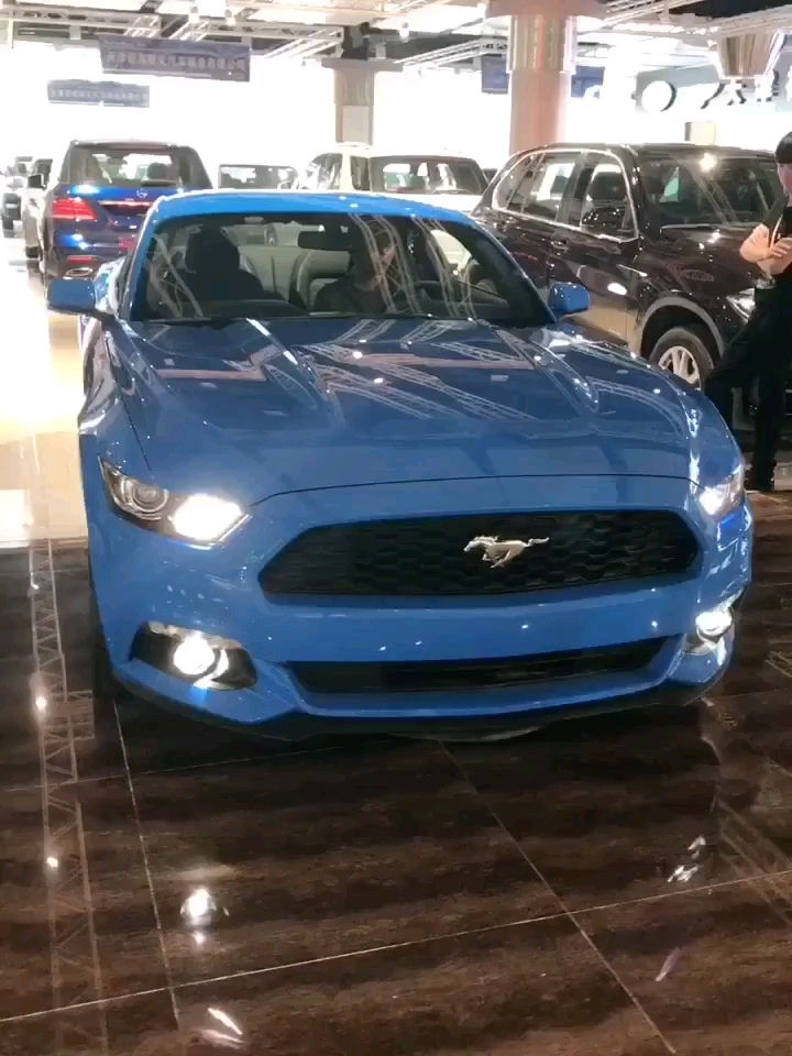 带你赏名车,带你开眼界!蓝色小野马!