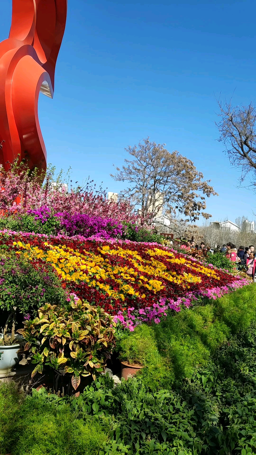 天津的桃花节美景