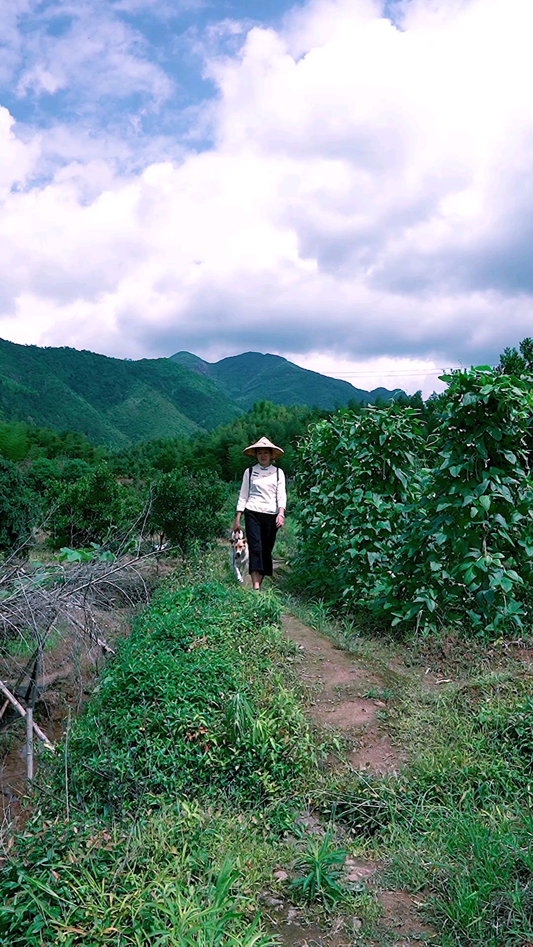 避暑好去处#蛋烧肉,农村版美食有没有喜欢农村美食的,给个爱心哦
