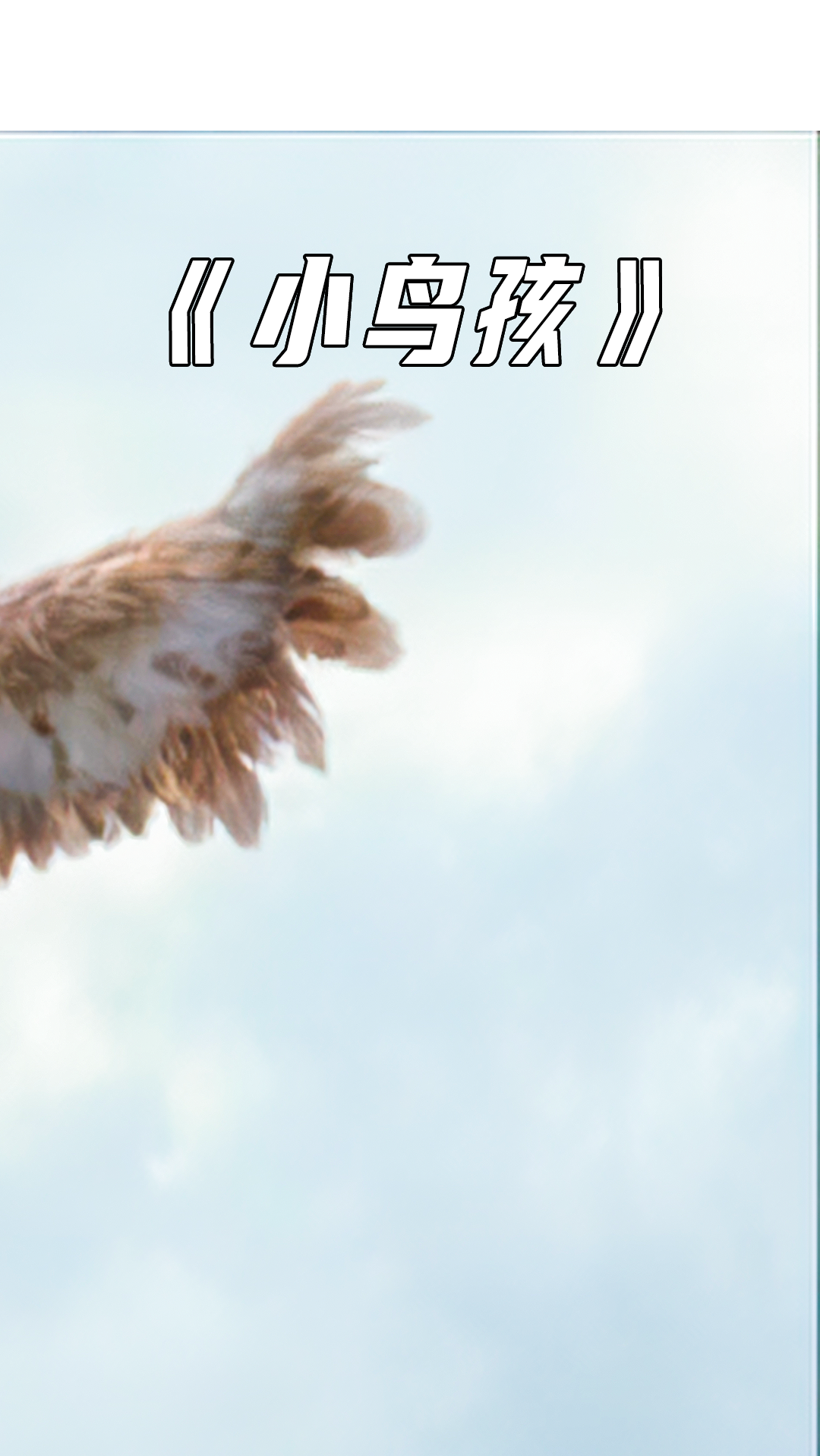 电影解说小鸟孩天上掉下一个林妹妹被夫妻两人捡到抚养长大后放飞