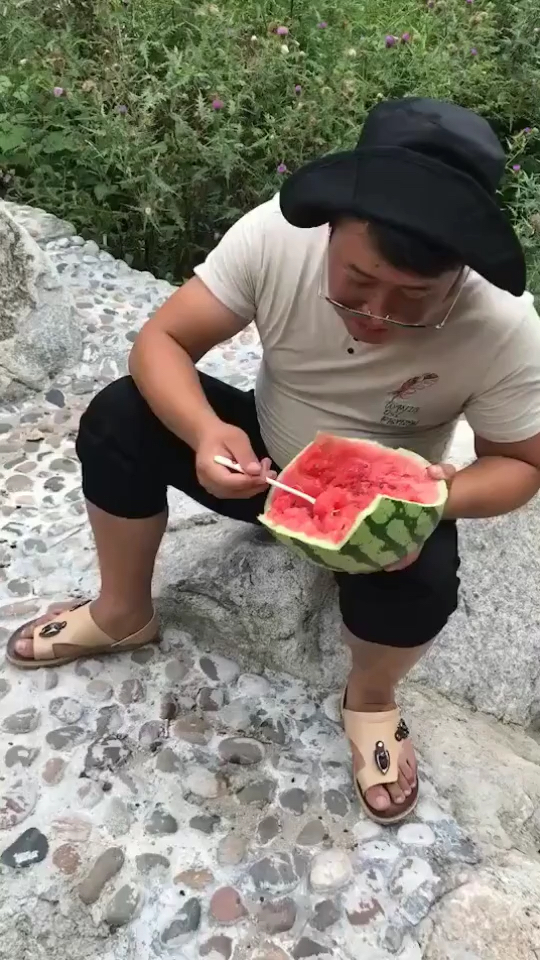 猪八戒又来偷吃西瓜了