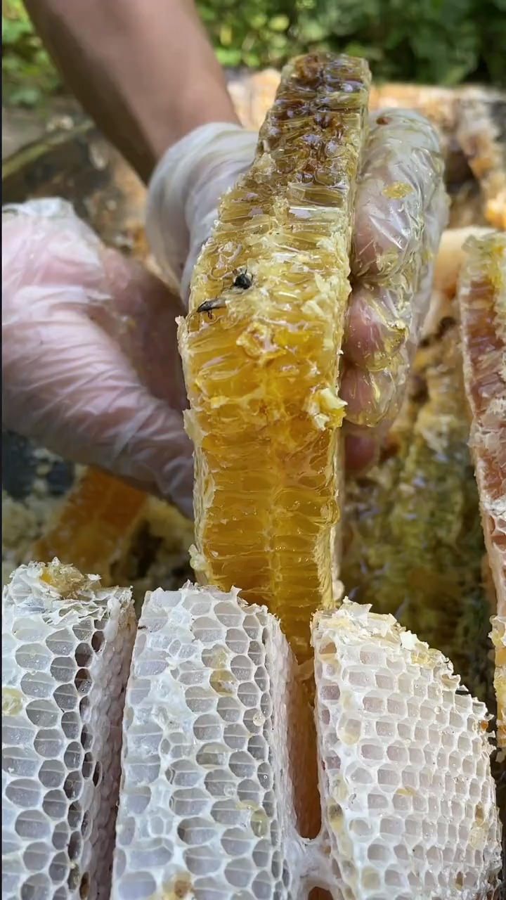 蜂蜜#这个就是弟弟家的野生土蜂巢蜜,地道的农村人的土蜂蜜,纯天然无