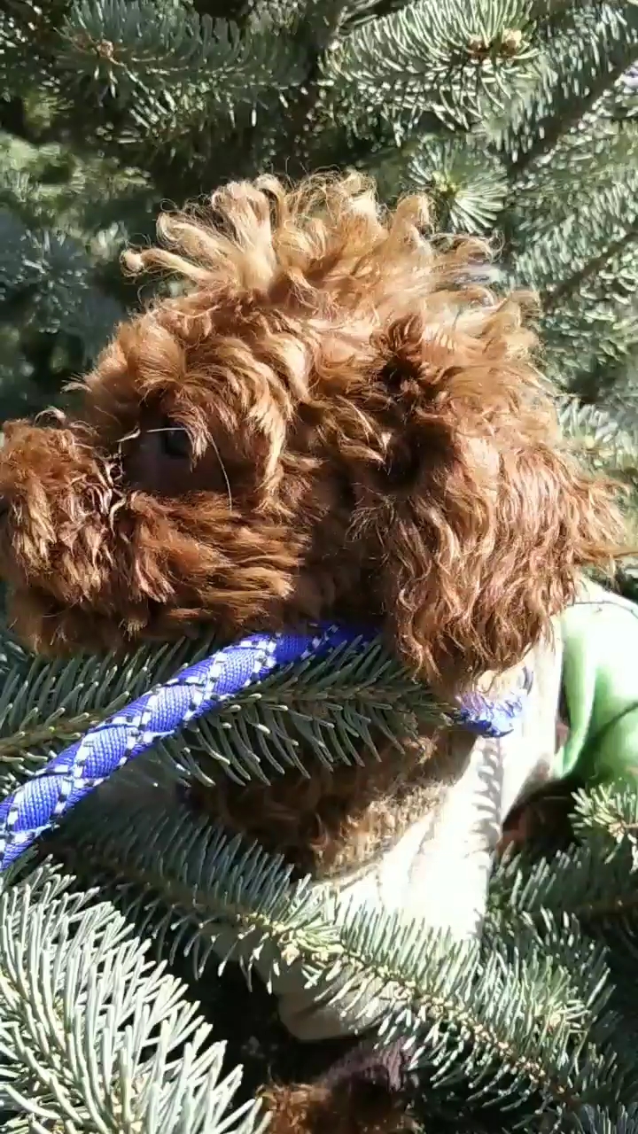 小毛孩儿,体验大自然.