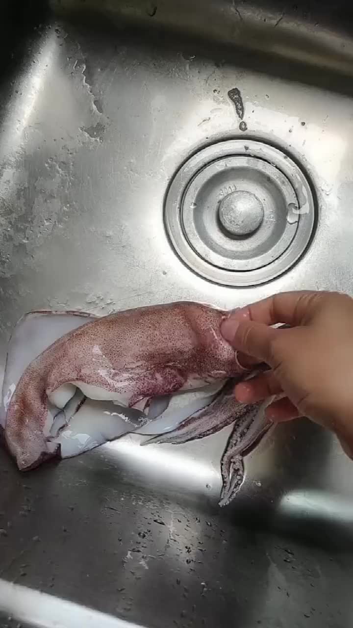 纳闷鱿鱼为什么不会喷墨,眼前这一幕,长见识了!