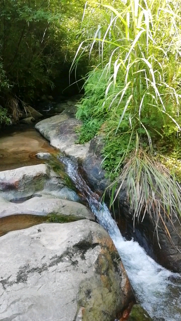 小溪流,山泉水