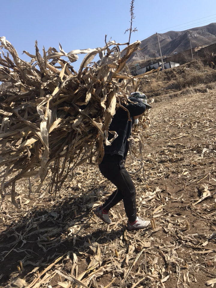 狼狈的样子很美