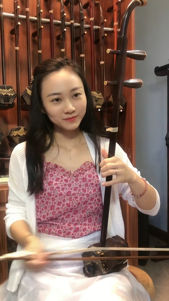 古典中国风国风民乐艺术欣赏二胡即兴演奏一枝花传承弘扬民乐文化