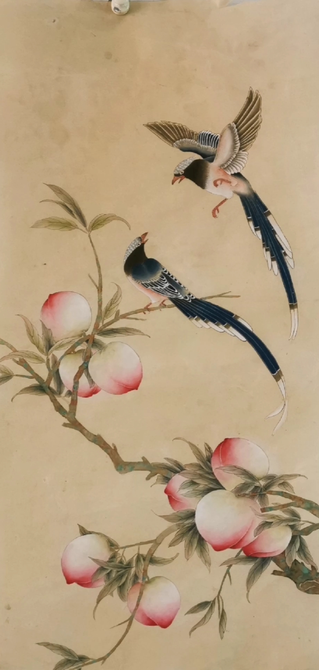 中国画#一分钟教你画仙桃