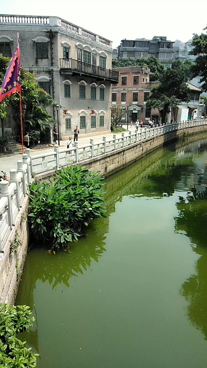 广州荔枝湾风景区一角.