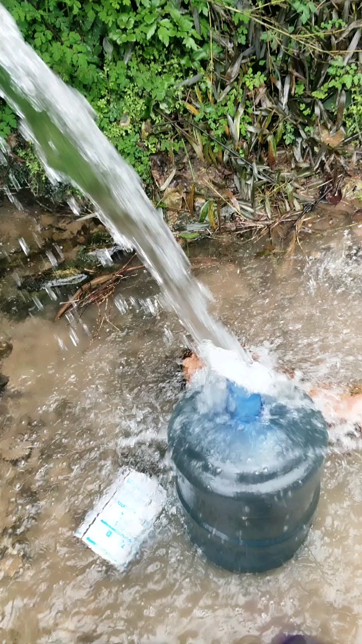 清澈见底的泉水