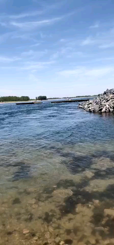 清清河水向东流