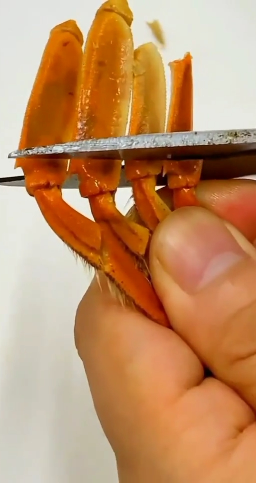 螃蟹腿里面有很大一块肉,千万不要再丢了