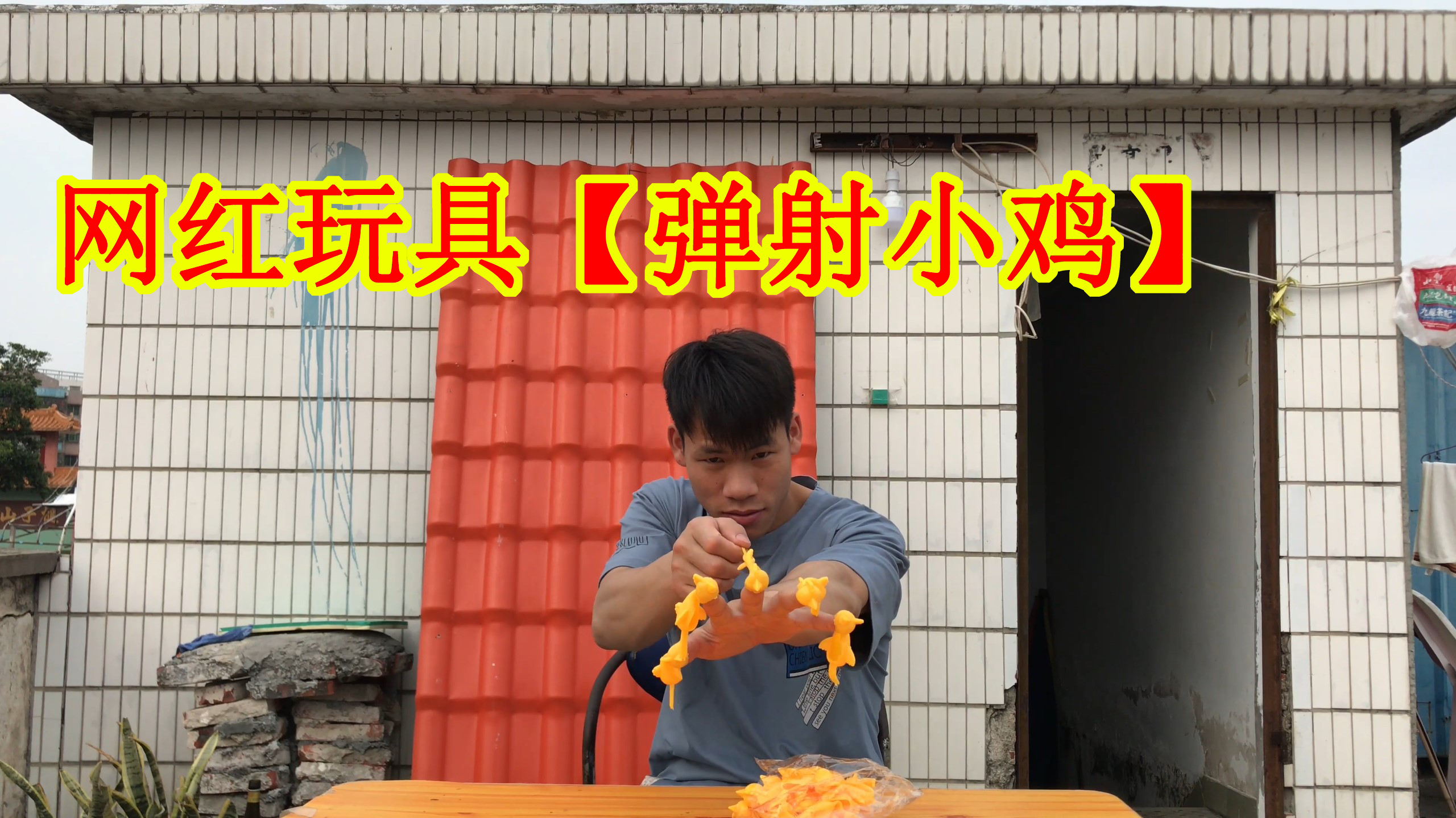 开箱网红玩具弹射小鸡能够像愤怒的小鸟那样指哪打哪吗