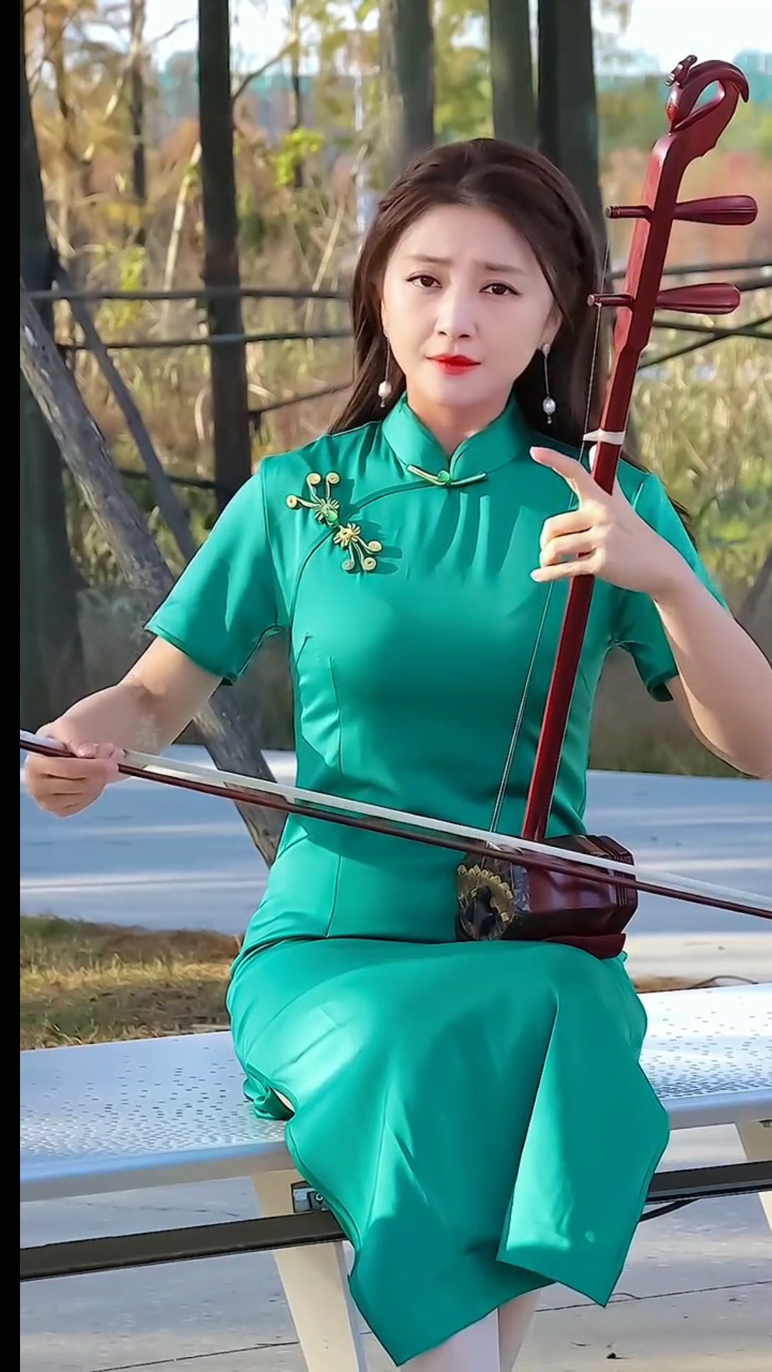 #古典中国风#国风古韵民乐艺术欣赏,二胡演奏《渴望》,传承弘扬民乐文