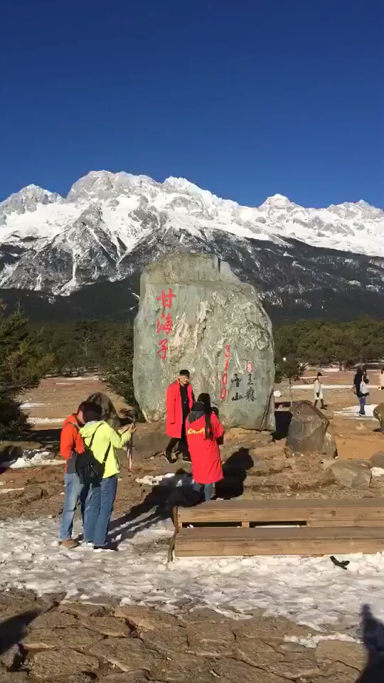 甘海子 海拔3100米