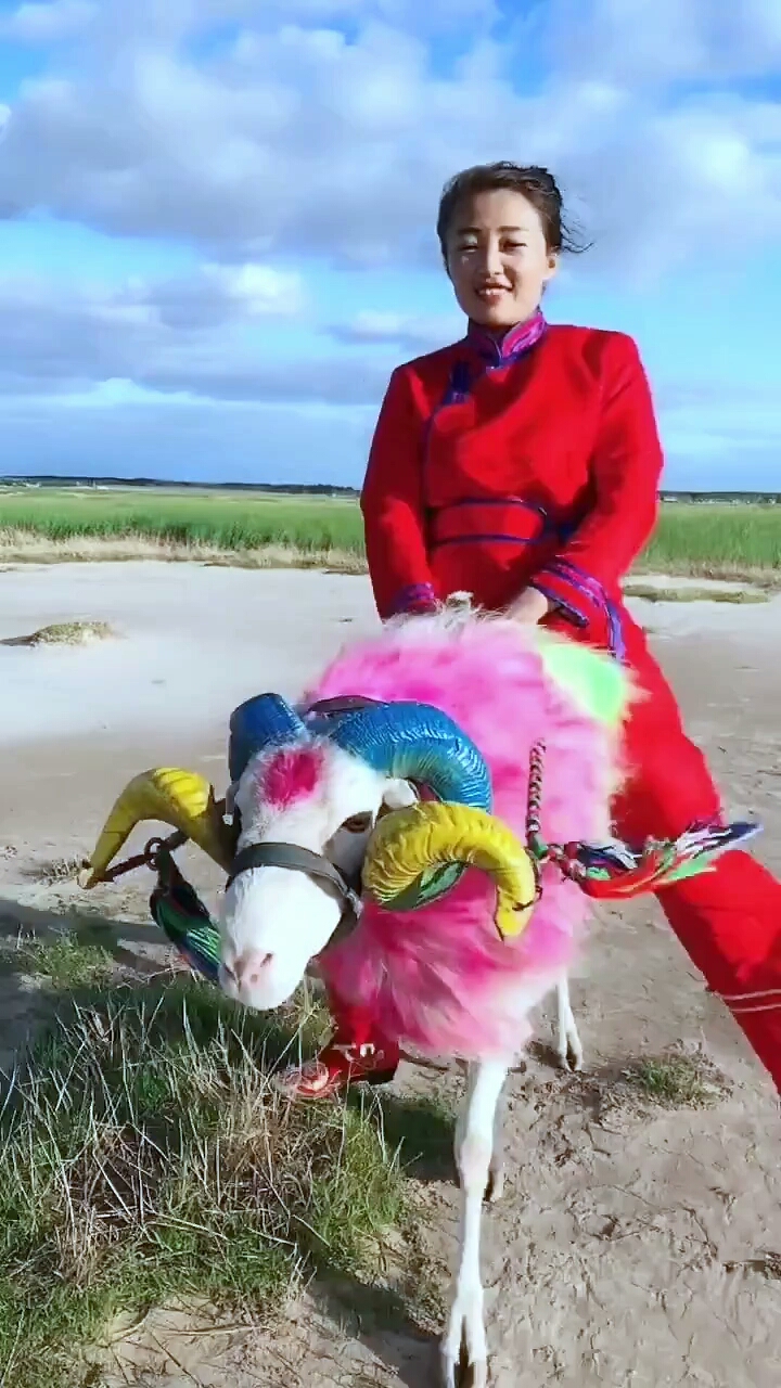 草原姑娘骑羊走天涯.