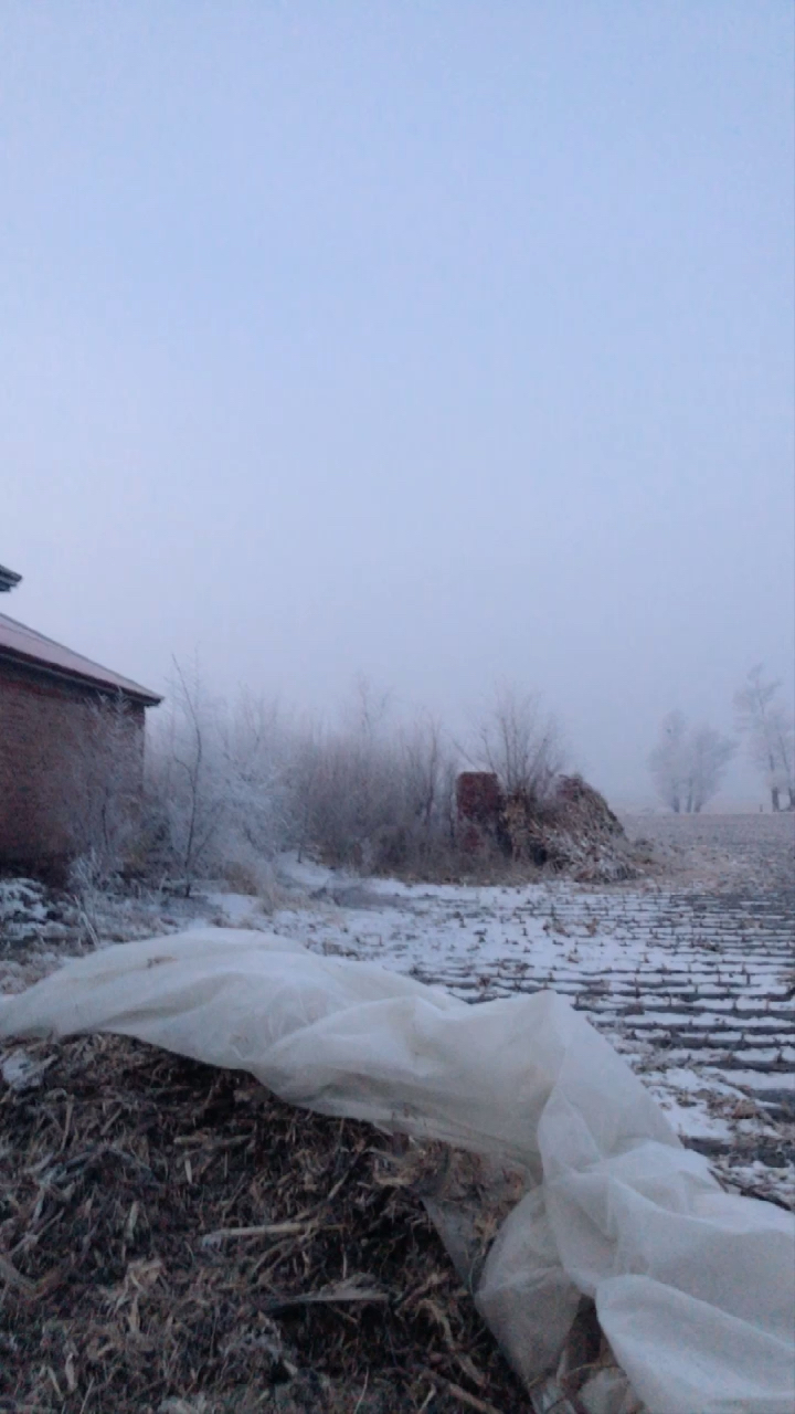 过了腊八就是年#农村外面起雾凇好好看