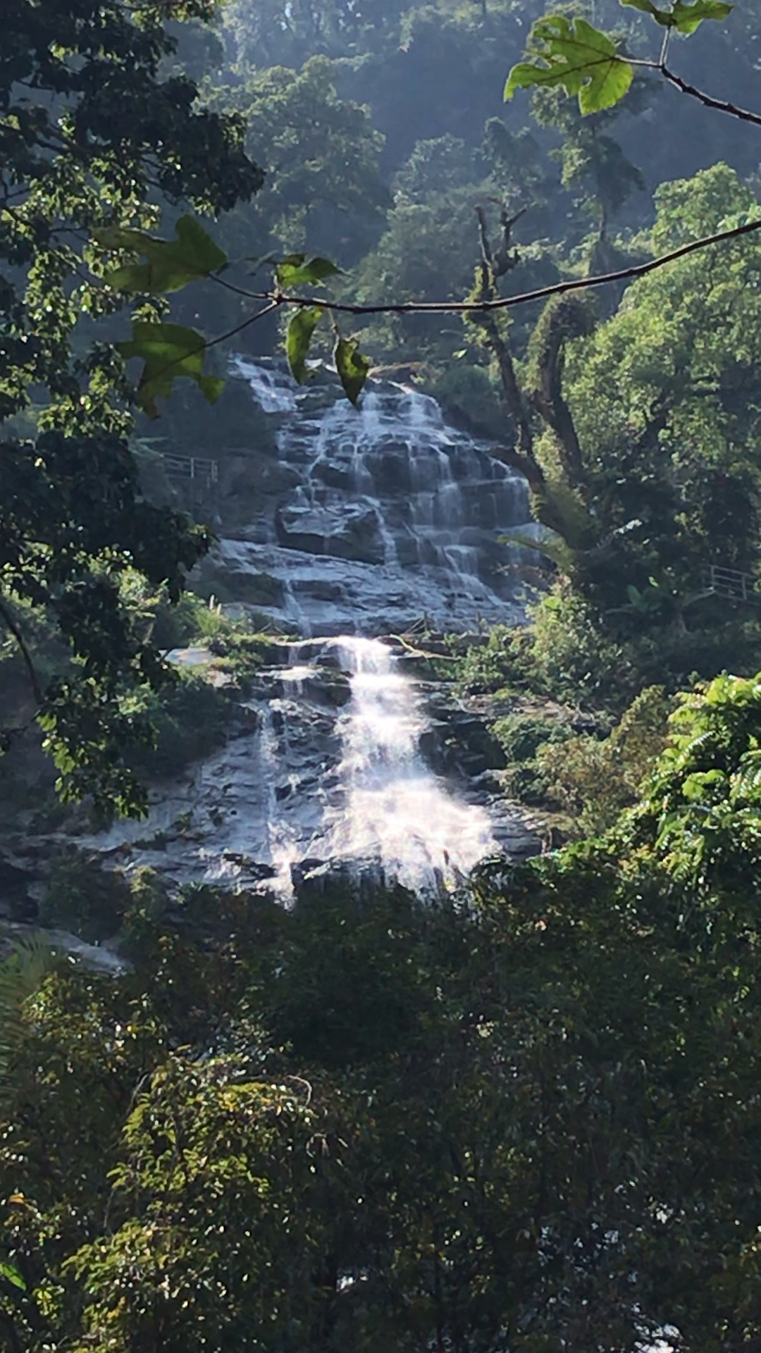 海南琼中百花岭